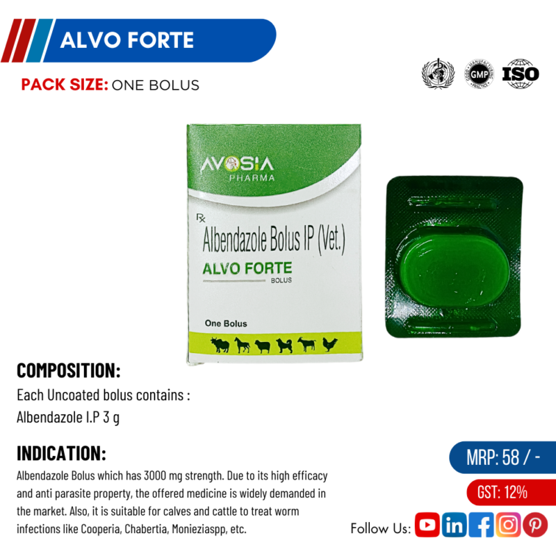 Alvo forte