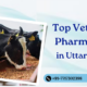 Top Veterinary PCD Pharma Franchise in Uttar Pradesh