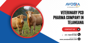 Veterinary PCD Pharma Company in Telangana