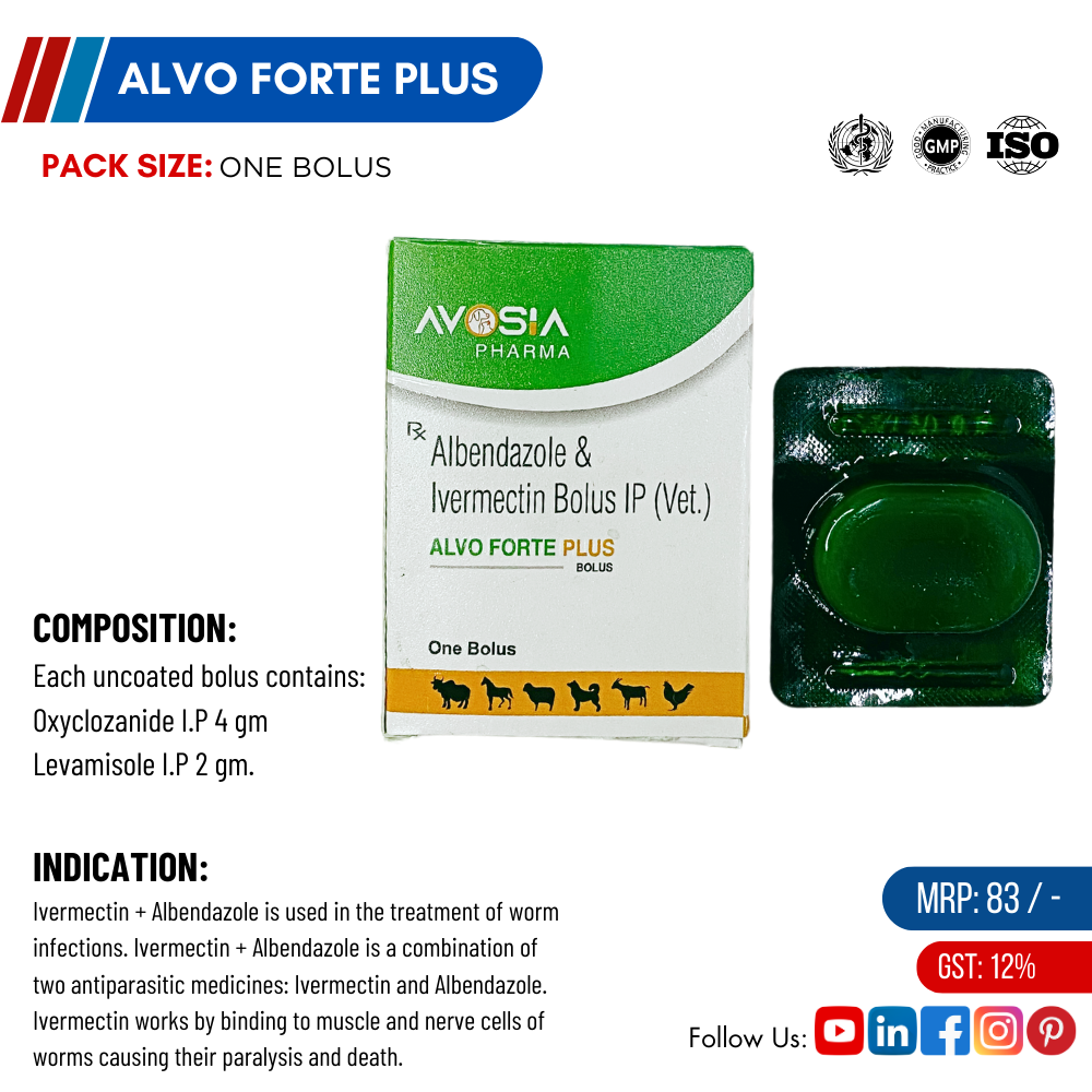 Alvo Forte Plus