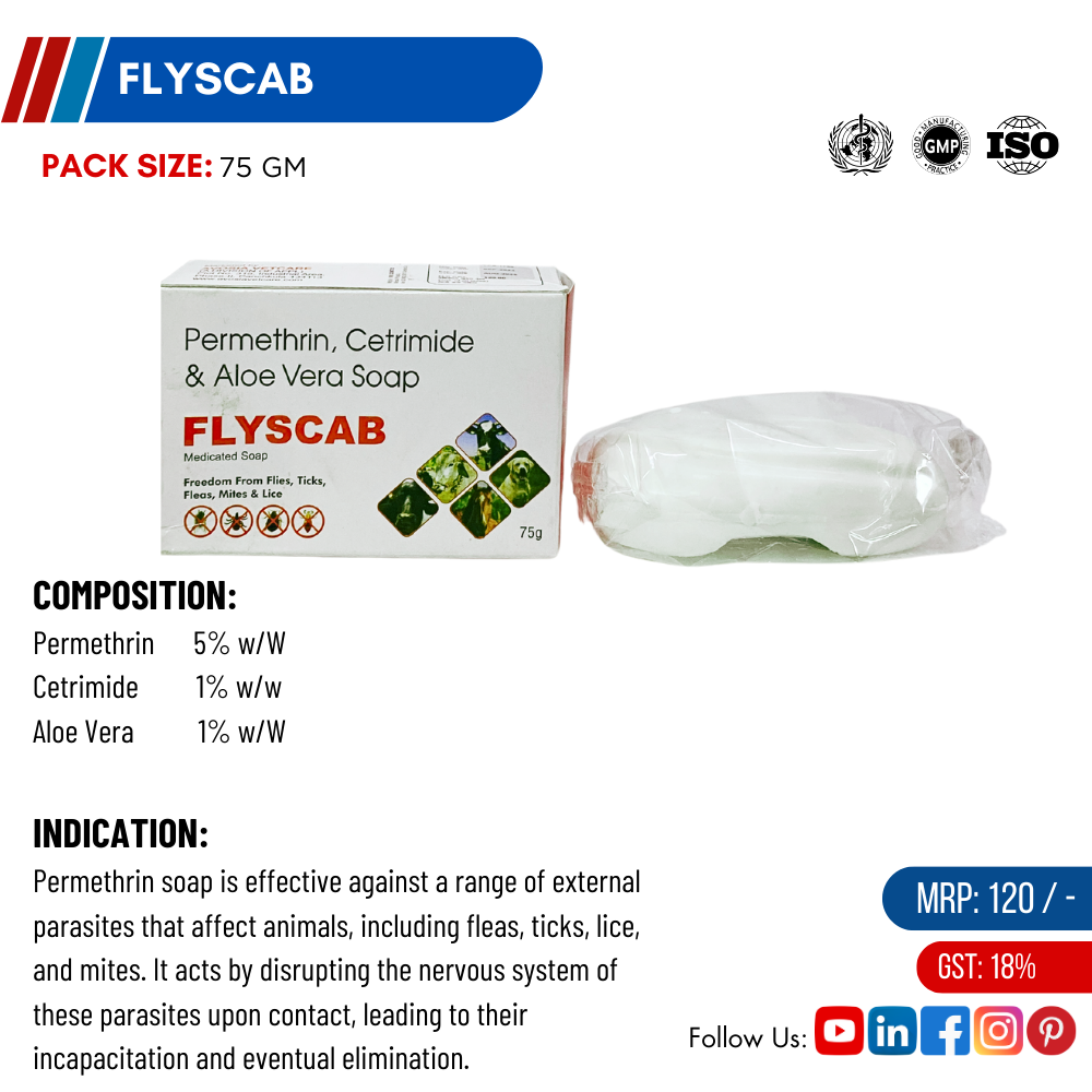 FLYSCAB