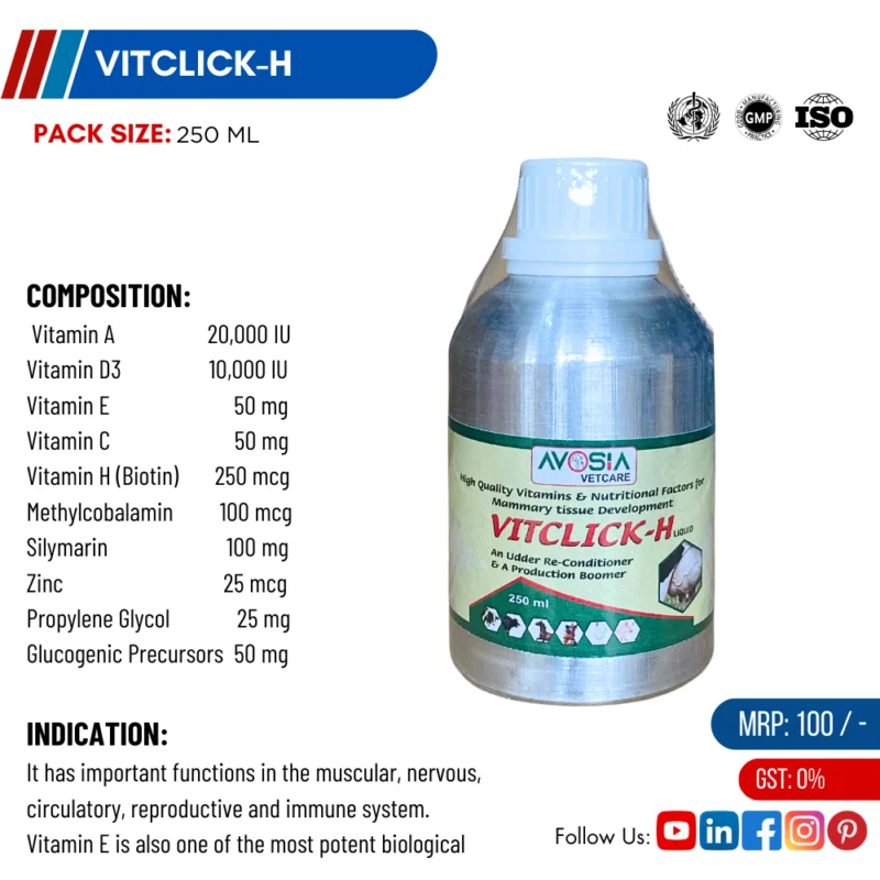 VITCLICK-H