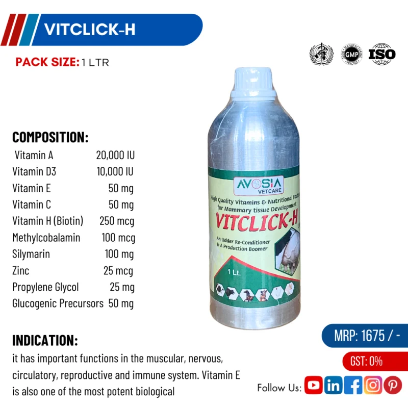 VITCLICK-H-1-Ltr