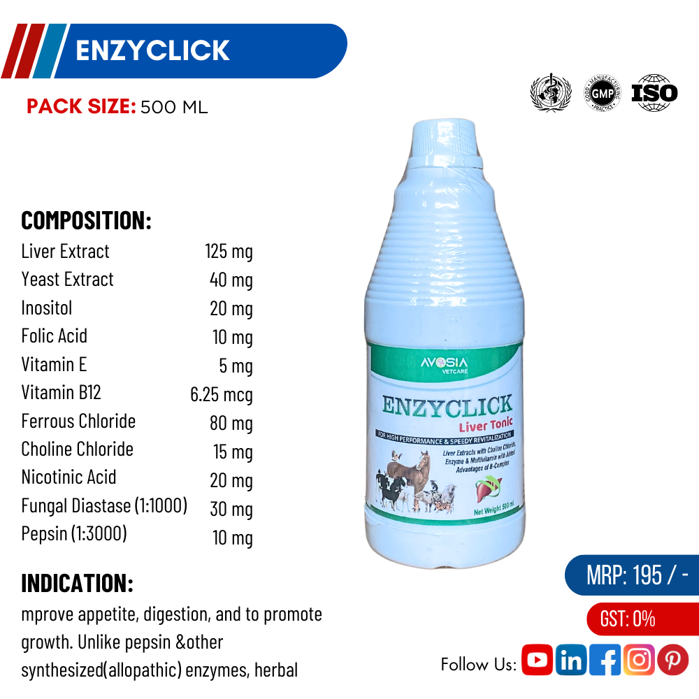 ENZYCLICK 500 ml