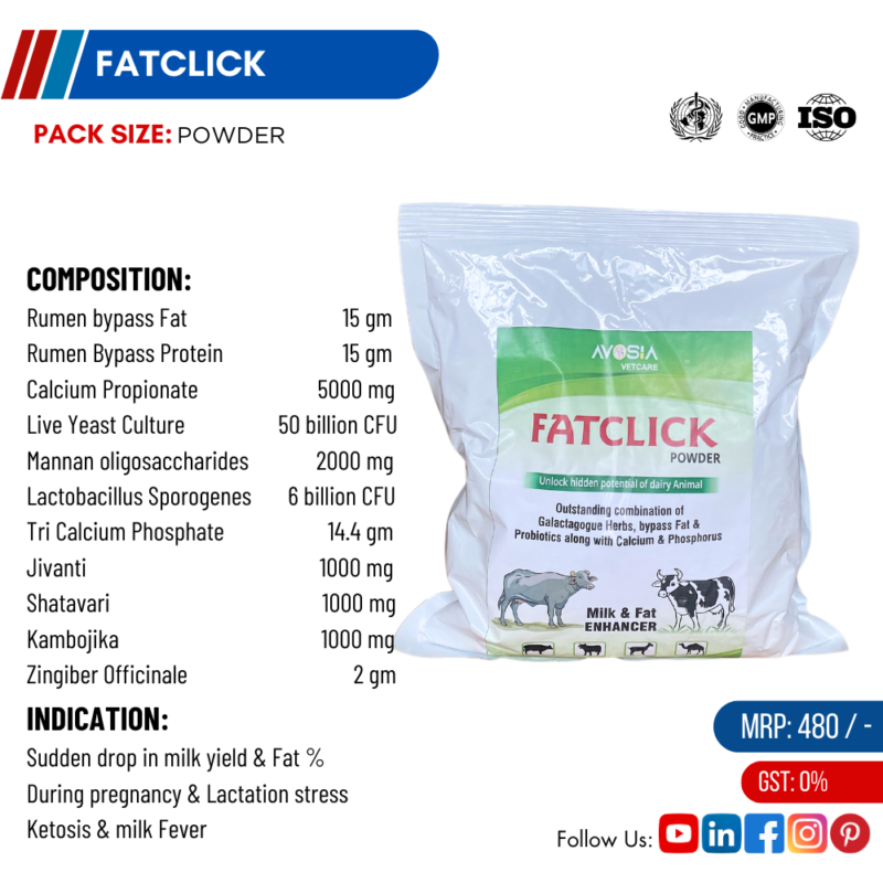 FATCLICK