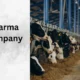 Veterinary Pharma Franchise Company in India