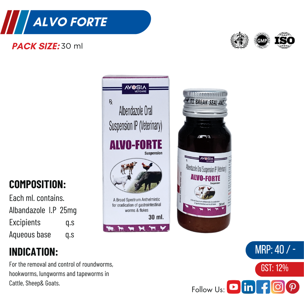 ALVO FORTE