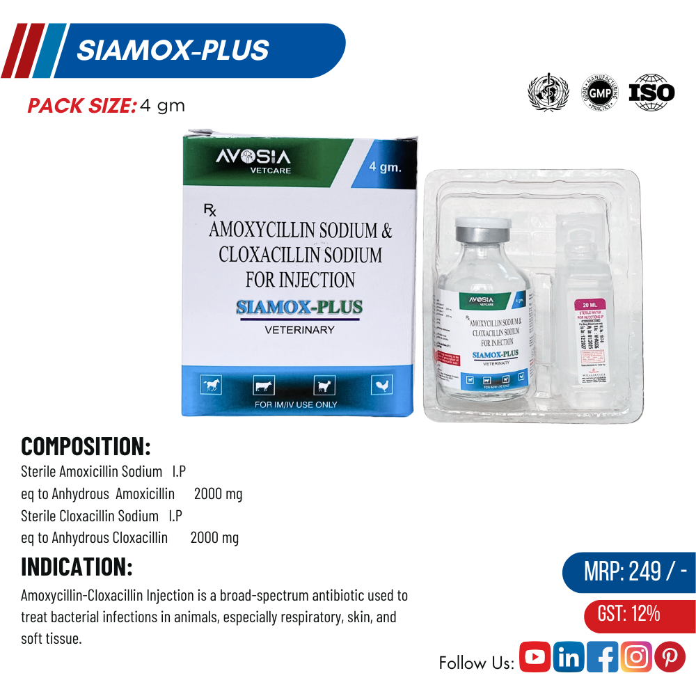 SIAMOX PLUS 4GM