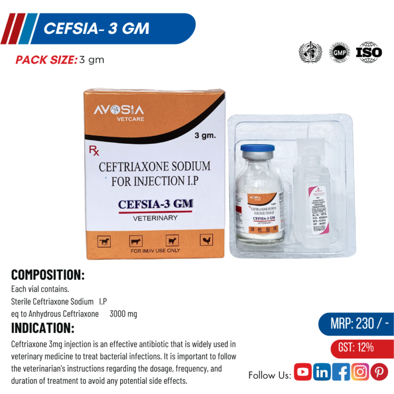 CEFSIA 3GM