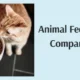 Animal Feed Supplement Companies in India