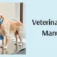 Veterinary Medicine Manufacturer